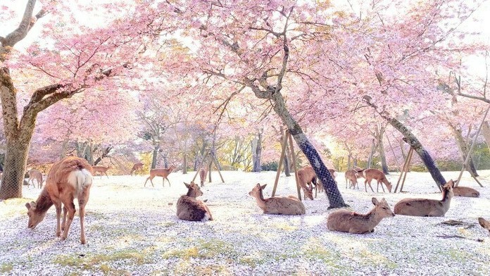 Ilustračná snímka.