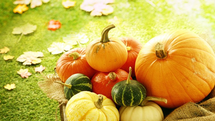 Tekvice sú typický "znak" jesene.