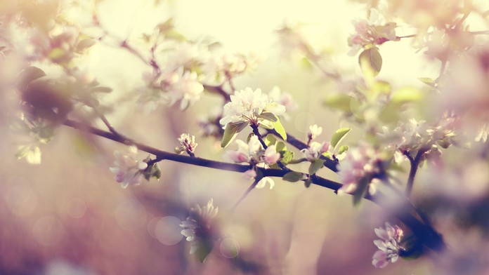 Ilustračná snímka