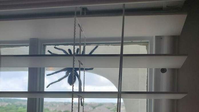 Ilustračná snímka. 