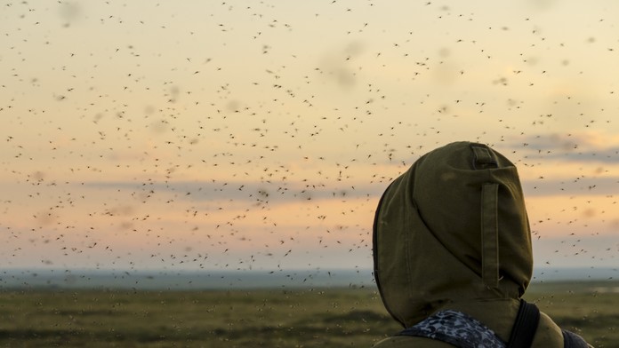 Ilustračná snímka. 