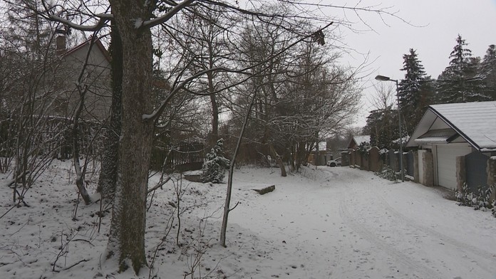 Dorka (Zuzka Kraváriková)