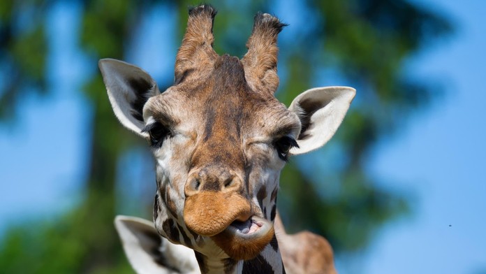 Ilustračná snímka. 