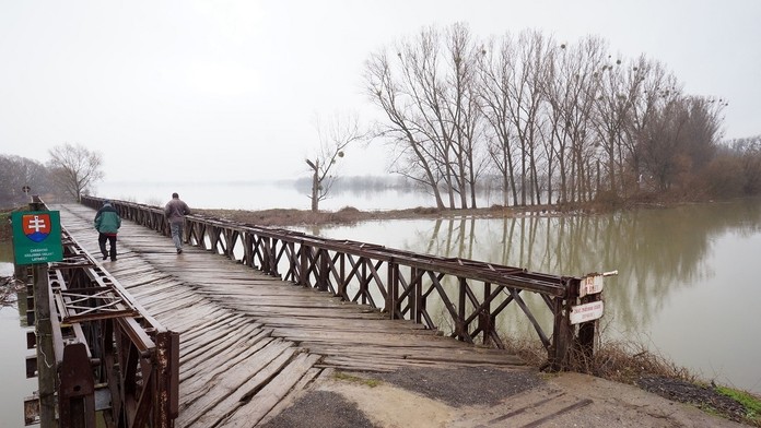 1_reflex_drazba_tvnoviny.mp4