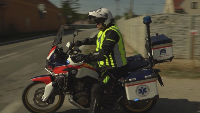 Obrovská slnečnica v Parizánskom.