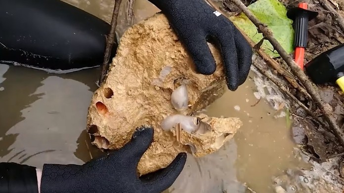 cvicenie 4 kolaz.jpg