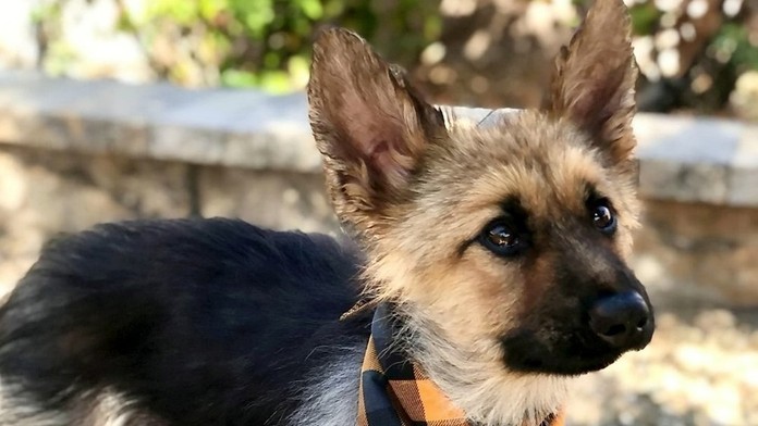 Ilustračná snímka.