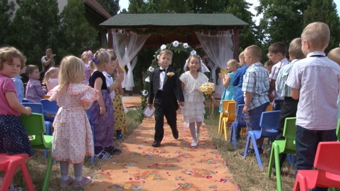 Harabin napadol inšpekciu