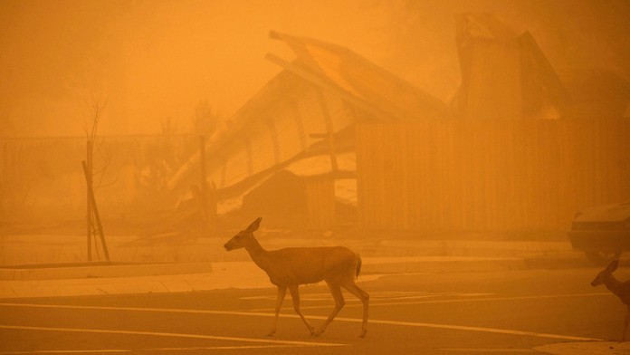 Obrovský lesný požiar v Kalifornii