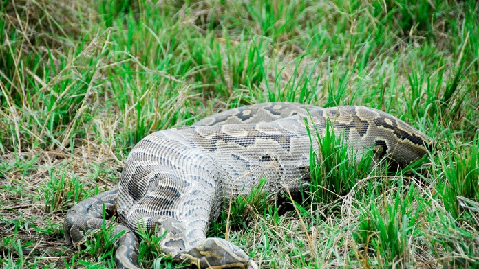 Kapela Prúdy krstila výberové CD.