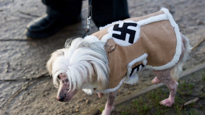 Paul Dutton urobil nacistu aj zo svojho psa. Ten nemá ani tušenie, čo má na svojom kabátiku. 