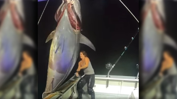 Michelle Bancewicz Cicale počas vyťahovania tuniaka.