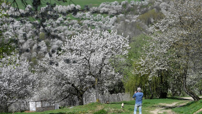 Všetci tam chcú fotku. Slovenskú obec so 60 obyvateľmi navštevujú tisíce turistov