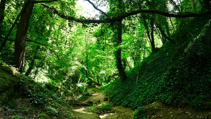 Ilustračná snímka.