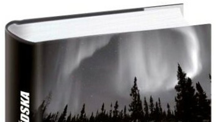 3D Temna strana svedska.jpg