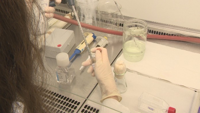 Tisícky vzoriek jedla, potravín, a kuchynských sterov putovalo na rozbory do laboratorií.