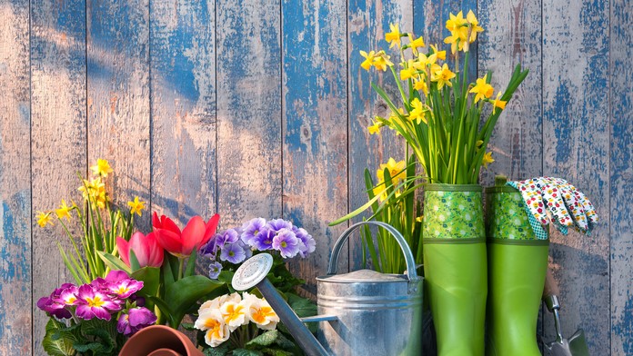 V hobbi nájdete najčastejšie žiadané potreby pre dom či záhradu. 