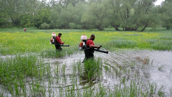 Bratislava sa pripravuje na boj s komármi. Tento rok budú pomáhať aj drony