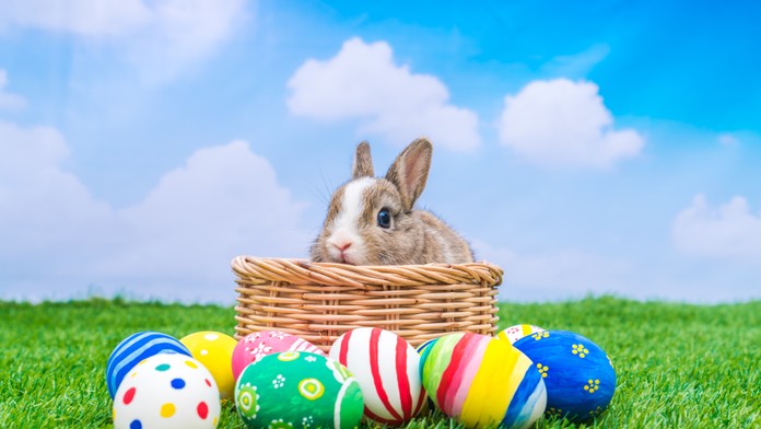 Tešíte sa na 20°C na Veľkú noc? Meteorológovia nemajú dobré správy. Sviatky prinesú veľký zvrat