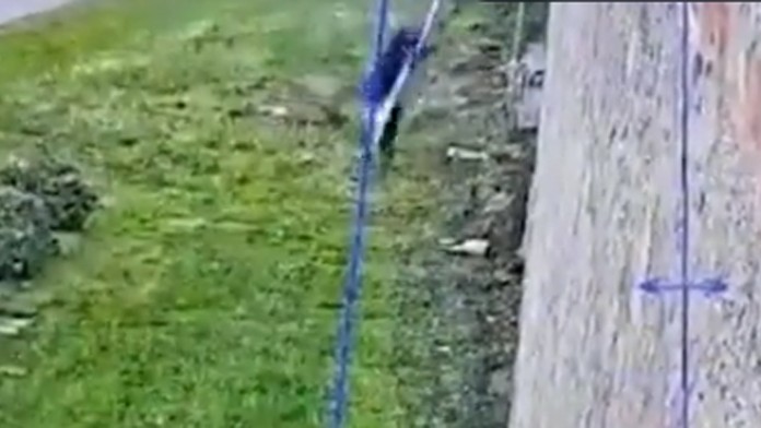 Boss talianskej mafie Marco Raduano je na úteku.