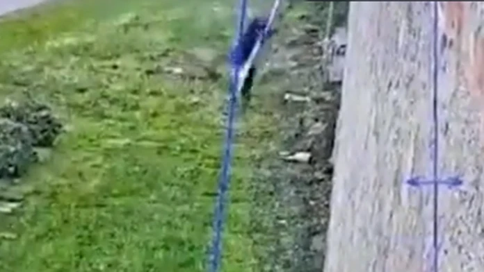 Boss talianskej mafie Marco Raduano je na úteku.