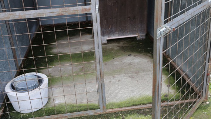 Igor Matovič s poverením od prezidentky Zuzany Čaputovej.