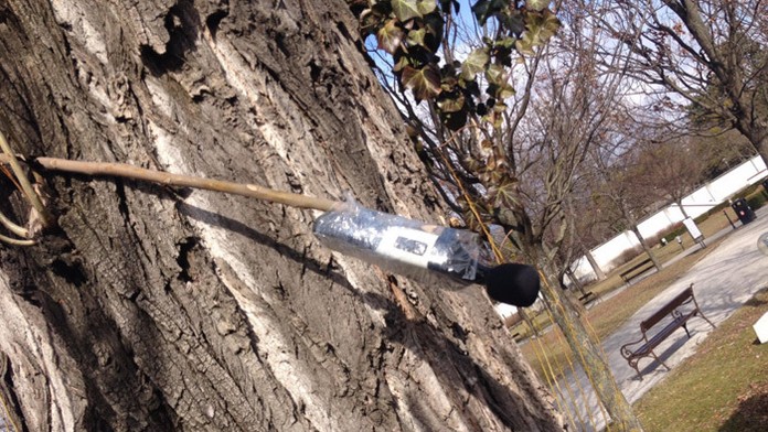 Zariadenie v záhrade Prezidentského paláca, ktoré odpálili pyrotechnici.