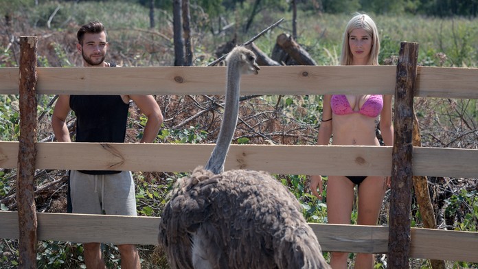 Farma má nových obyvateľov