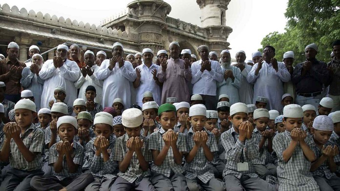 Labuť na streche električky.