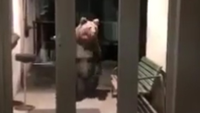 1510_Transformers_15_10_P30_Ut_20_15__12.mp4