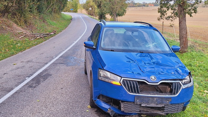 Zničené auto po tom, ako na vozidlo spadol strom.