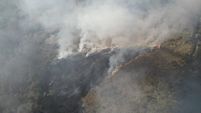 FOTO: Na Záhorí v ťažko dostupnom teréne vypukol požiar. Na mieste zasahujú desiatky hasičov