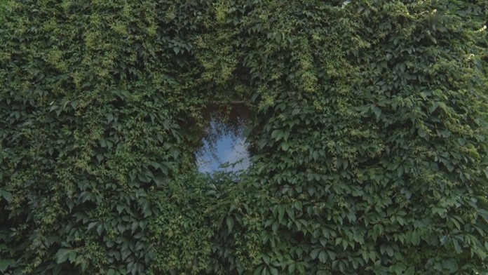 Dom obrastený popínavou rastlinou.