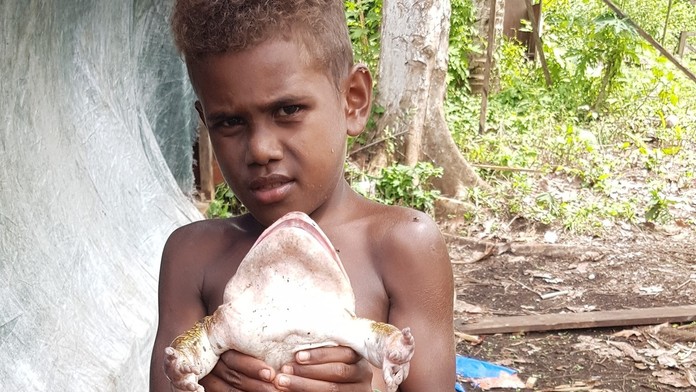 Chlapec drží obriu žabu.