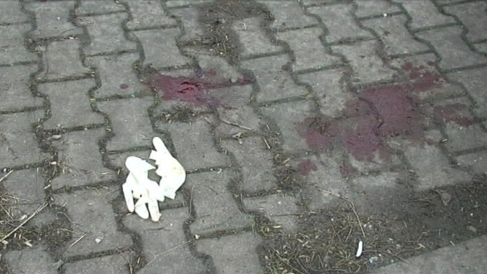 17 LV Dobity-mrtvy.transferweb_jpg_bez_watermarku_1.jpg