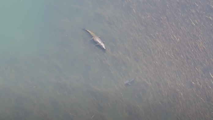 Ilustračná snímka.