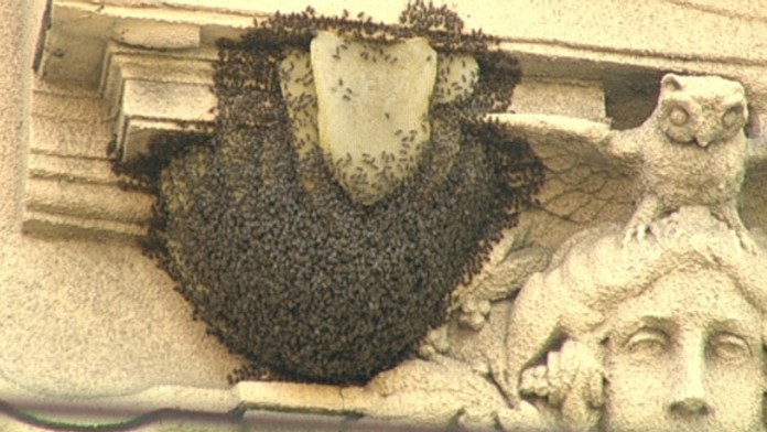 19 Pocasie-osy.transferweb_jpg_bez_watermarku_1.jpg