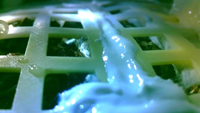 Vlado začal znova fajhčiť po narodení Vlaďky.