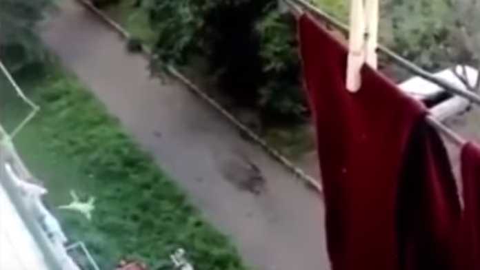 Dieťa vypadlo z okna. 