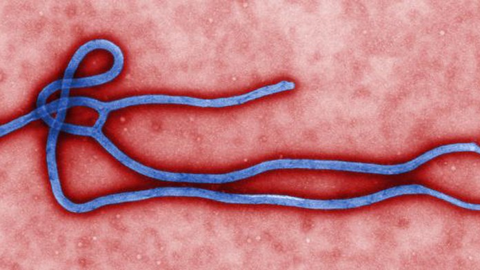 Vírus ebola