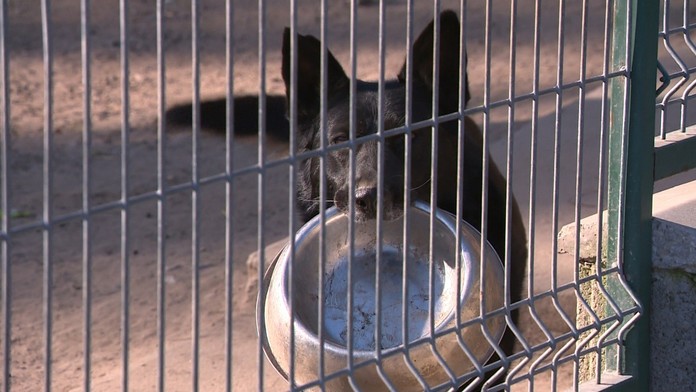 V najväčšej rómskej osade v piatok vojenskí lekári začali s hromadným testovaním na koronavírus. 