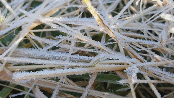 cesko vlak_tvnoviny.mp4