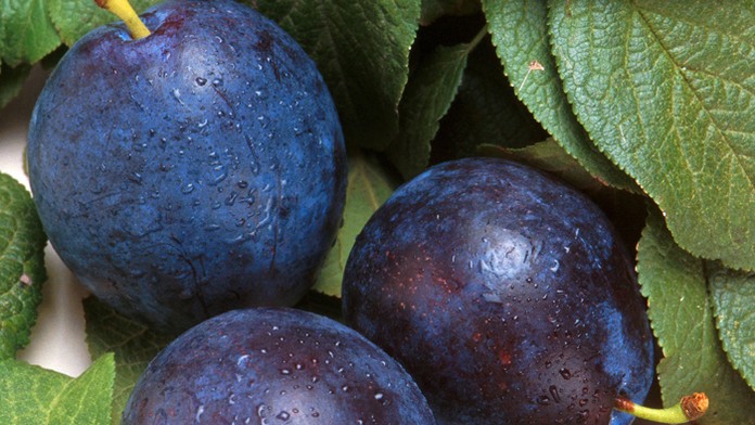 Ilustračná snímka.