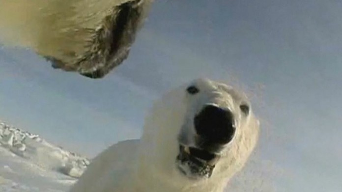 CLOPJXNKHRSE-high_1080p.mp4