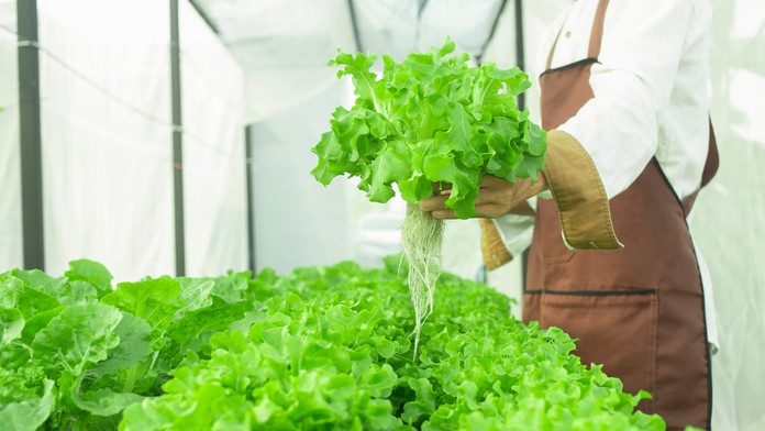 Ilustračná snímka.