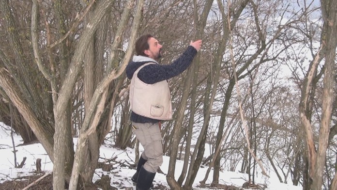 dievcatko_tvnoviny.mp4