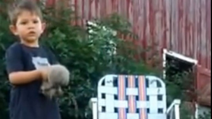 Malý chlapec z Iowy stojí pred veľkou výzvou. Musí zozbierať päť mačiatok.