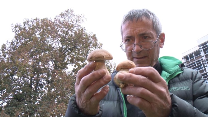 Hubárska sezóna sa ešte neskončila