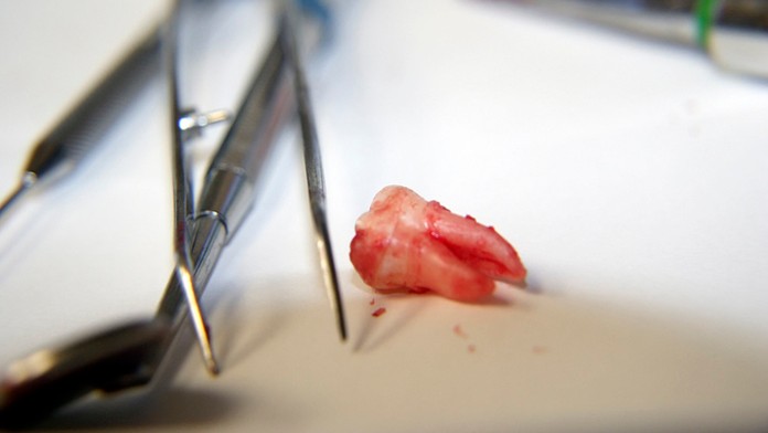 Ilustračná snímka.