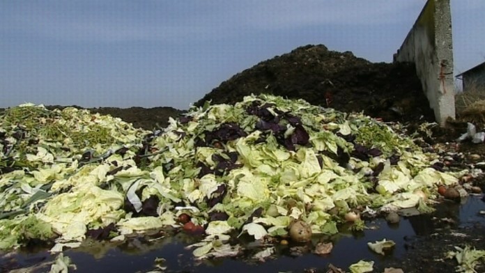 19 Trvanlive potraviny.transferweb_jpg_bez_watermarku_1.jpg